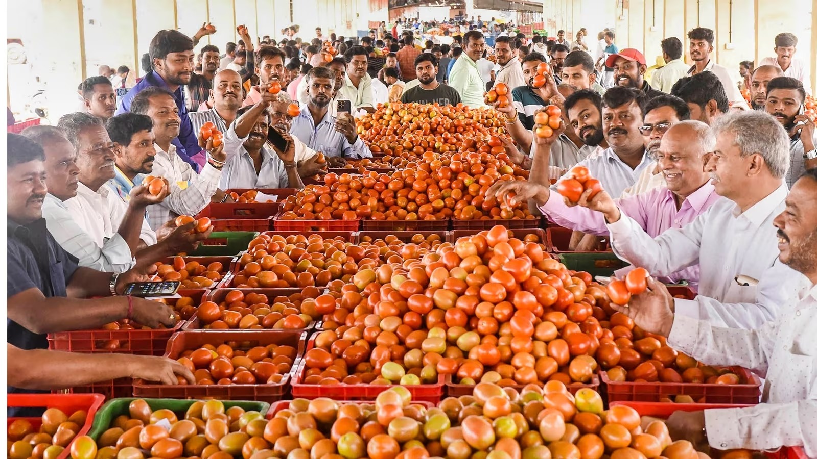 ٹماٹر کی قیمت 160 فی کلوسے زیادہ ہو گئی