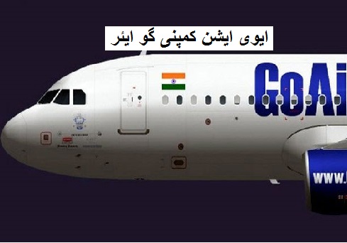 GoAir کرسمس ڈسکاؤنٹ، صرف 999 روپے میں پرواز بھرے