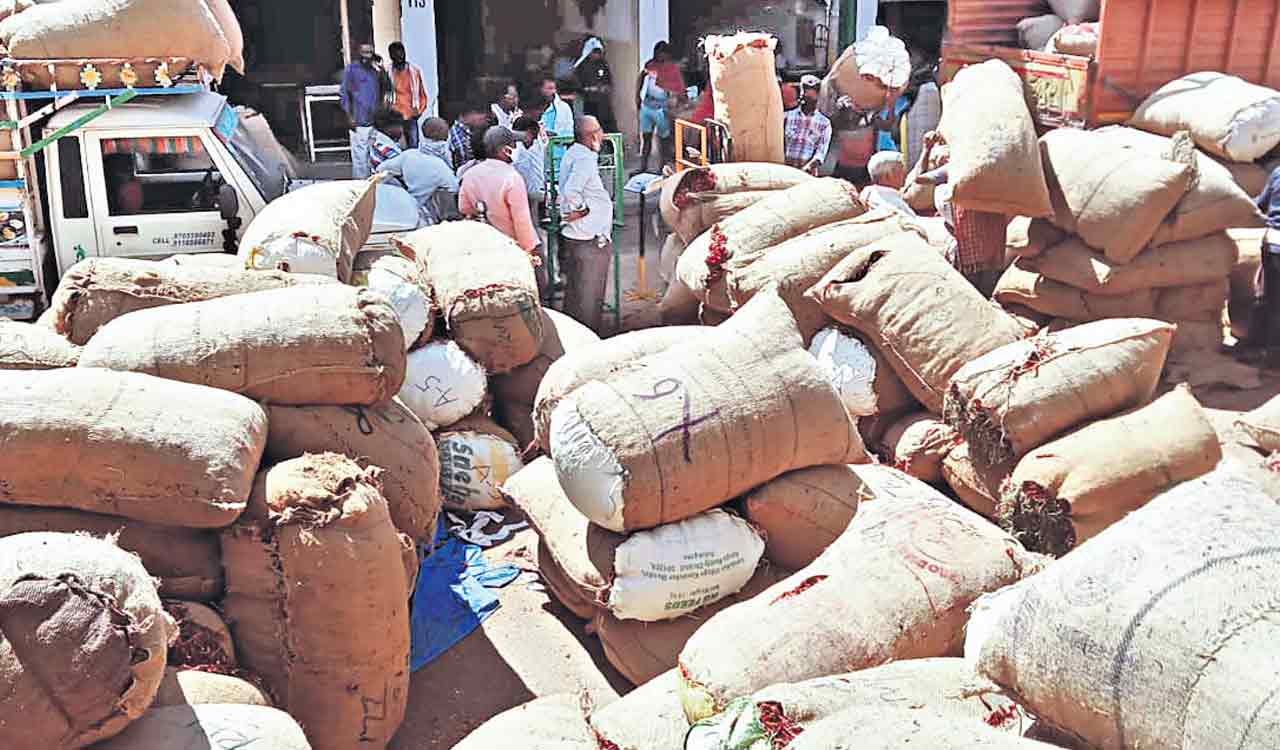 حیدرآباد کی ملک پیٹ مارکیٹ سرخ مرچ کے کسانوں سے بھر گئی ہے 