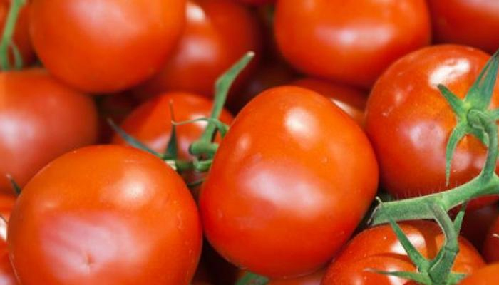 ٹماٹر کی قیمتوں میں آئی تیزی : زراعت سیکرٹری