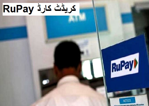 جلد آئے گا RuPay کریڈٹ کارڈ، میٹرو بس کی ادائیگی بھی کارڈ سے