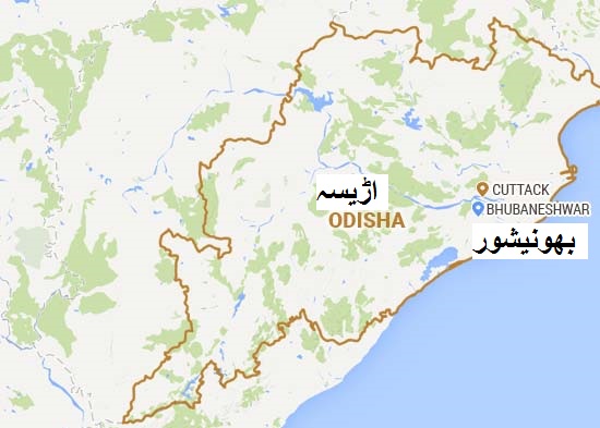 اڑیسہ میں پل سے گری بس، 16 ہلاک، 30 زخمی