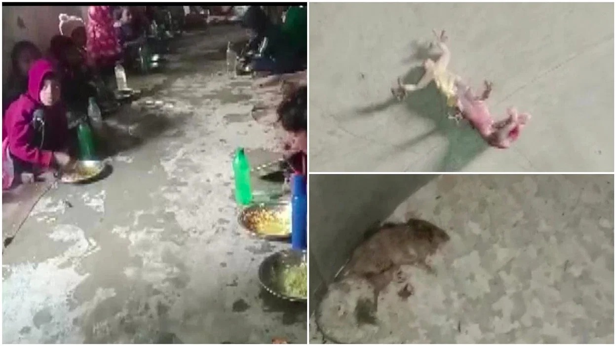 بنگال کے اسکول میں مڈ ڈے میل کے چاول کے ڈرموں میں مردہ چوہا اور چھپکلی پائ  گئی