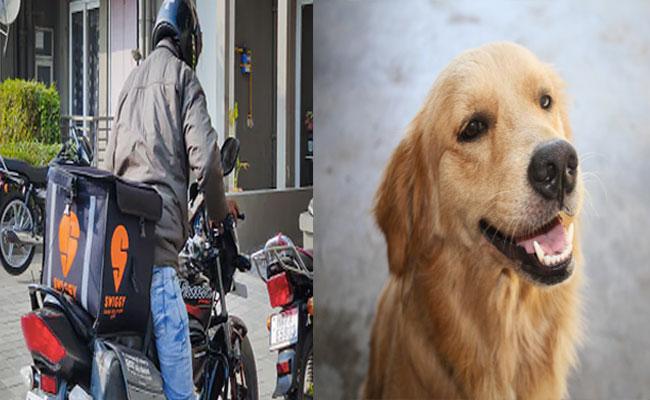 حیدرآباد میں کتے کے خوف سے فوڈ ڈیلیوری بوائے نے تیسری منزل سے چھلانگ لگادی