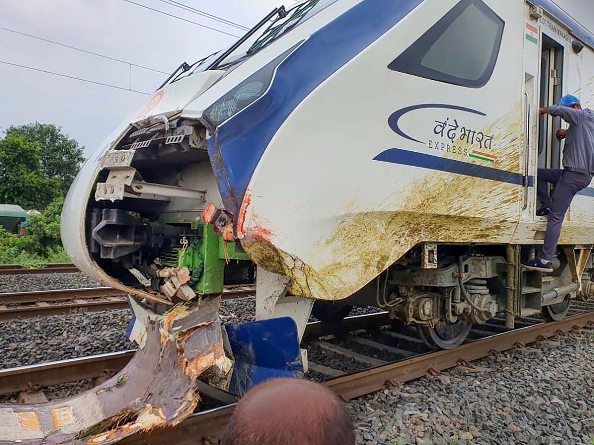 وندے بھارت ٹرین کو بھینسوں کے  ٹکرانے سے نقصان پہنچا