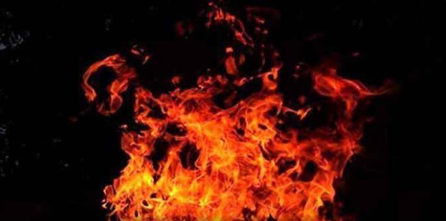 تلنگانہ: ضلع رنگاریڈی کی پلائی ووڈ کمپنی کی عمارت میں آگ لگنے کا واقعہ