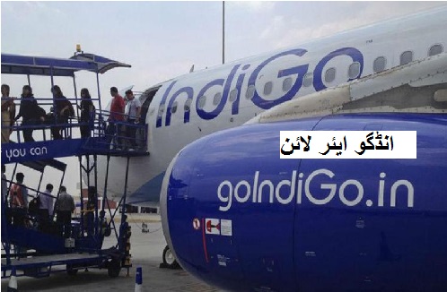 انڈگو طیارے کے ایک مسافر نے ایمرجنسی دروازے سے نکلنے کی کوشش کی