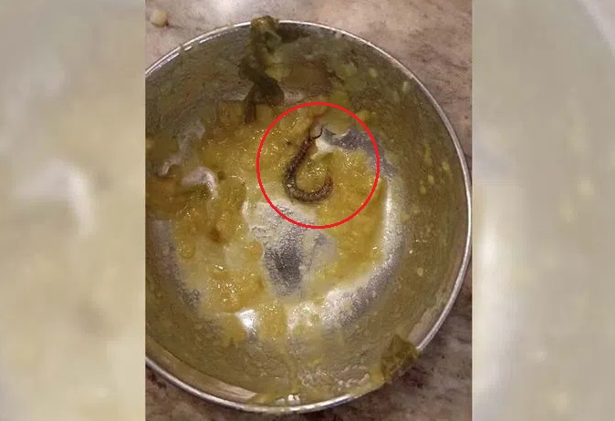 کھانے میں گوم: جی ایچ ایم سی نے تاج محل ہوٹل کو وجہ بتاؤ نوٹس جاری 