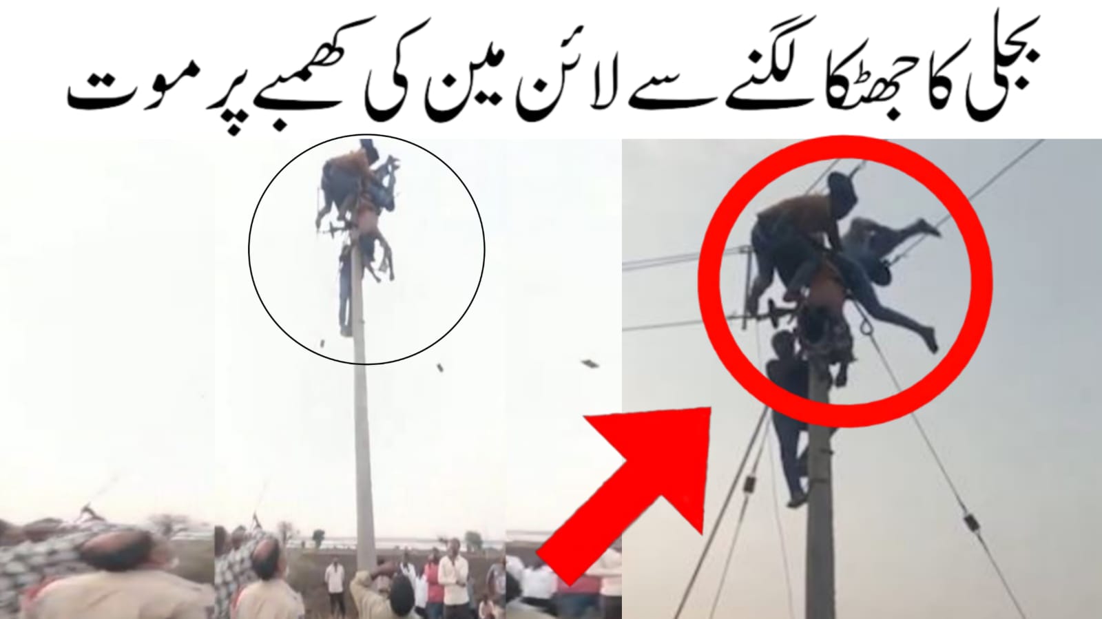 تلنگانہ: لائن مین بجلی کا جھٹکا لگنے سے کھمبے پر ہی دم توڑ گیا