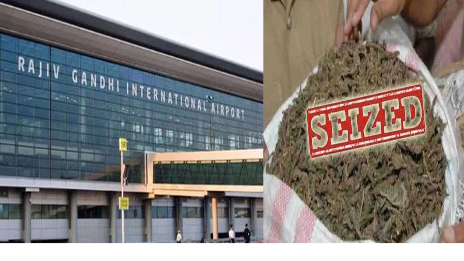 حیدرآباد شمش آباد بین الاقوامی ہوائی اڈے پر 1 کلو ہائیڈروپونک گھاس پکڑی گئی۔