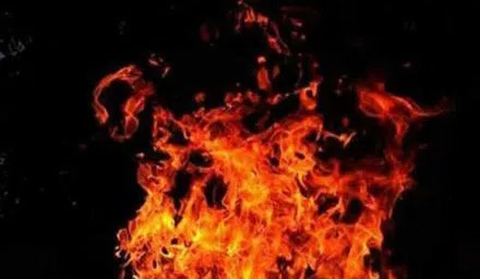 تلنگانہ: نلگنڈہ تھرمل پاور پلانٹ میں 6 ور کرس شدید جھلس گئے 