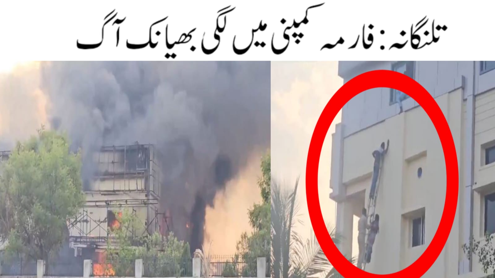 تلنگانہ: الون فارما کمپنی میں لگی آگ، عملے نے خوف کے مارے عمارت سے لگائی چھلانگ 