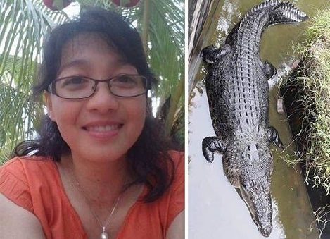 مگرمچھ نے خاتون سائنس دان کو زندہ نگل گی: انڈونیشیا 