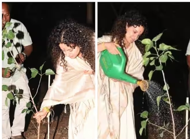 گرین انڈیا چیلنج۔ اداکارہ کنگنارناوت نے پودالگایا