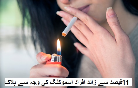 11 فیصد سے زائد افراد تمباکو نوشی کی وجہ سے ہلاک ہوتے ہیں 