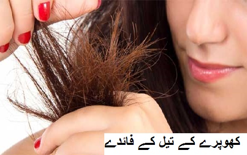 خراب بالوں اورخشکی کا یقینی خاتمہ کھوپرے کے تیل سے