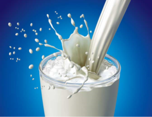 دودھ اور لہسن ملا مشروب خطرناک بیماریوں سے بچاؤ کیلئے مفید