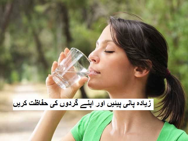زیادہ پانی پیئیں اور اپنے گردوں کی حفاظت کریں