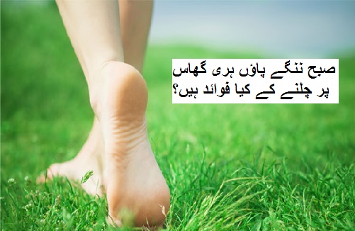 صبح ننگے پاؤں ہری گھاس پر چلنے کے کیا فوائد ہیں؟