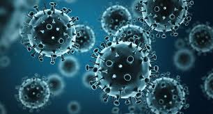 وائرس صبح کے وقت زیادہ خطرناک ہوتے ہیں