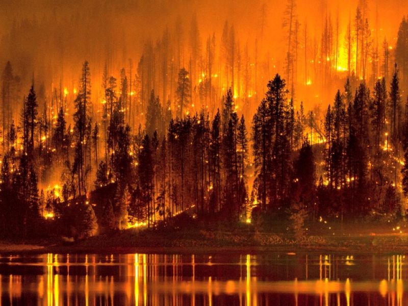 کیلی فورنیا کے جنگلات میں آتشزدگی سے 6افراد ہلاک