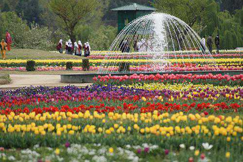 ایشیا کا سب سے بڑا باغ گل لالہ امسال دو ہفتے پہلے ہی کھلے گا