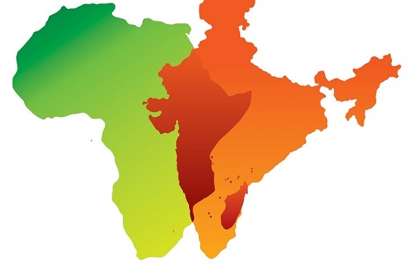 نئے بین الاقوامی اقتصادی نظام کے لئے ہند -افریقہ کے تعاون کی ضرورت:سشما