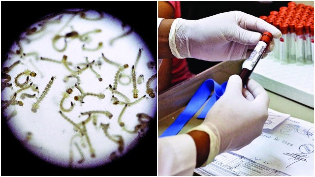 ہندوستان میں زیکا وائرس کا ایک بھی معاملہ نہیں پایا گیا ہے: مرکزی وزیر صحت 