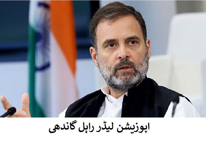 حکومت کی بد انتظامی نے بینکنگ سیکٹر کو تباہ کر دیا: راہل 