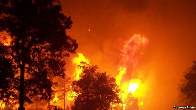 کیلی فورنیا: جنگل کی آگ سے ایک خاتون ہلاک