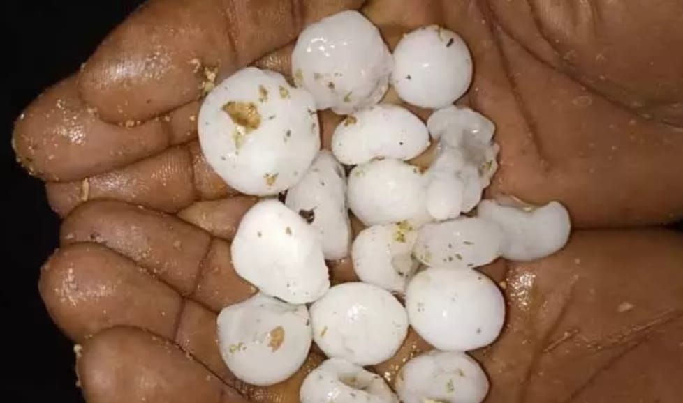 تلنگانہ کے کئی اضلاع میں اچانک بارش اور ژالہ باری، کھڑی فصلوں کو نقصان