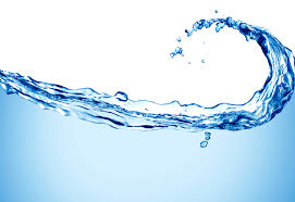 پانی کے تحفظ میں سب کی شراکت ضروری: پرنب