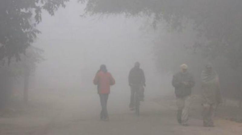 تلنگانہ عادل آباد میں سردی کی شدید لہر: درجہ حرارت 11.4 ڈگری سیلسیس تک گر گیا