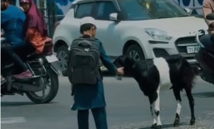 کریم نگر میں انسانیت کی مثال: طالب علم نے پیاس سے بےچین بکری کو پانی پلا کر دل جیت لیا