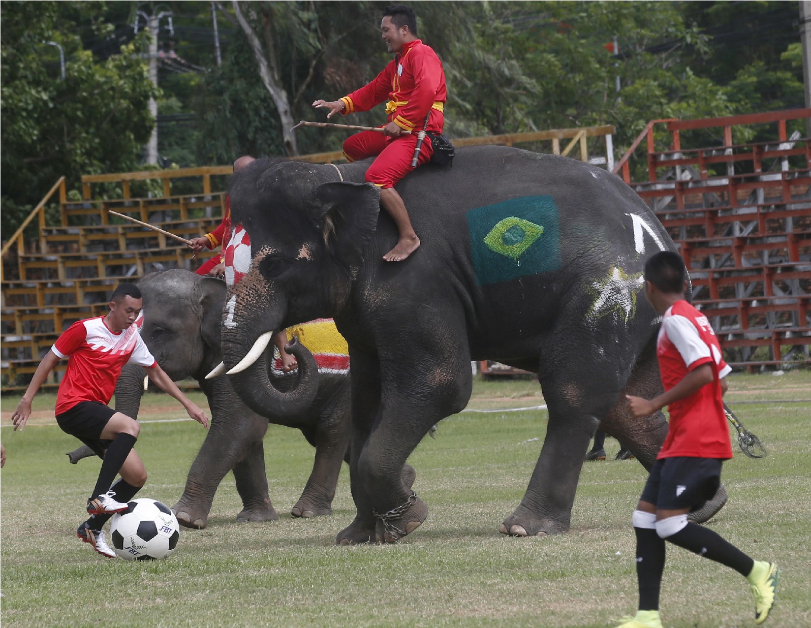 فیفا عالمی کپ سے پہلے ہاتھیوں نے کھیلا فٹ بال میچ