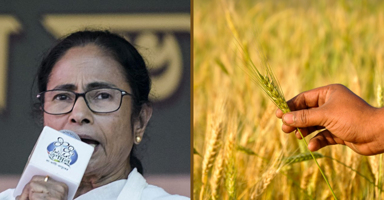 ممتا بنرجی کے دور اقتدار میں کسانوں کی آمدنی میں تین گنا اضافہ