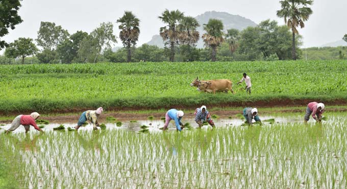 کسانوں کی پیداوار کو فروغ دینے تلنگانہ حکومت کے اقدامات: وزیرداخلہ