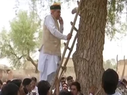 سگنل نہیں ملا تو درخت پر چڑھ گئے مودی حکومت کے وزیر، جانیں پھر کیا ہوا