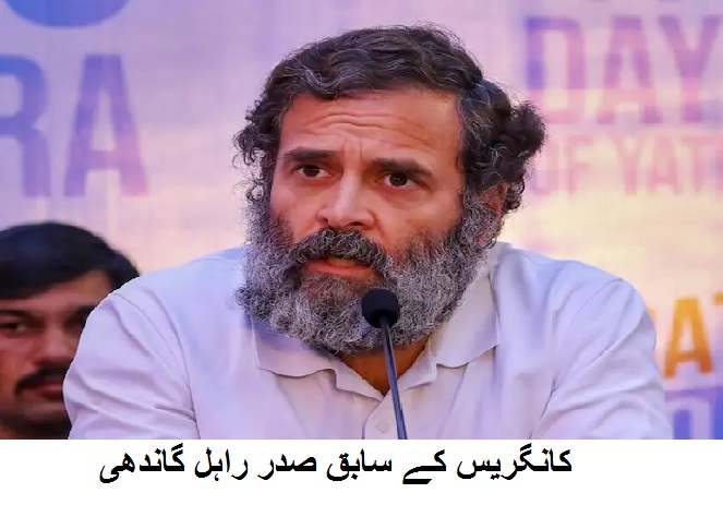 قائد حزب اختلاف کروڑوں عوام کی آواز ہیں: راہل گاندھی