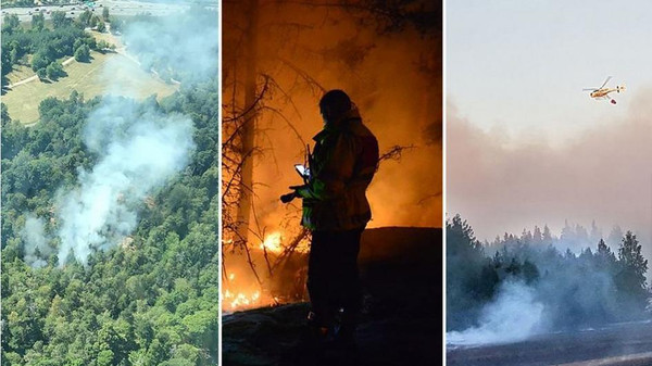 سویڈن کے جنگلات میں لگی خوف ناک آگ قابو سے باہر