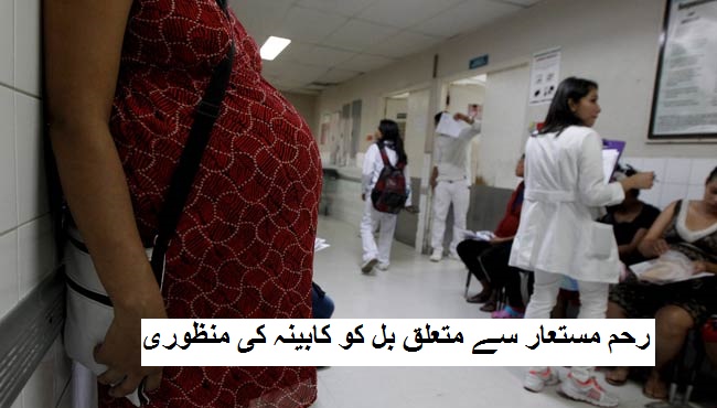رحم مستعار سے متعلق بل کو کابینہ کی منظوری