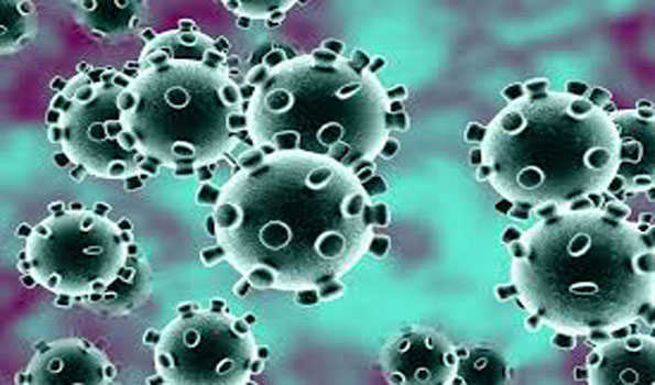کورونا وائرس سے دنیا میں 40.88 افرادمتاثر، 2.81 لاکھ ہلاکتیں