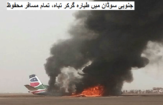 جنوبی سوڈان میں طیارہ گرکر تباہ، تمام مسافر محفوظ