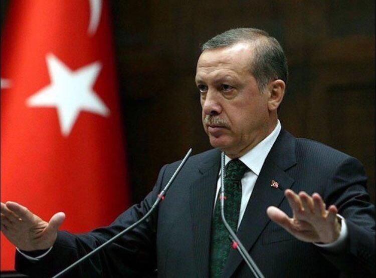 ترکی پورے شامی سرحد کو آہستہ آہستہ "صاف" کر دے گا: رجب طیب اردوغان