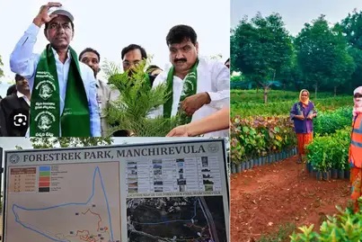 وزیر اعلی تلنگانہ چندر شیکھر راؤ نے آج ایک کروڑ پودے لگانے کے پروگرام کا آغاز کیا