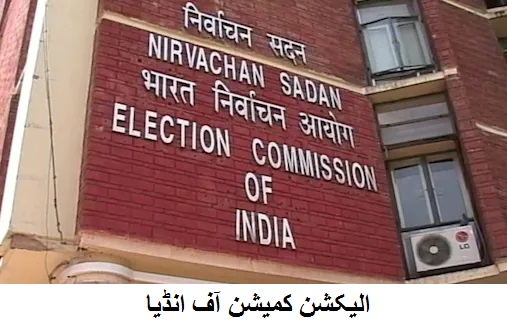 پوسٹل بیلٹ سے متعلق وائرل پیغام گمراہ کن: الیکشن کمیشن
