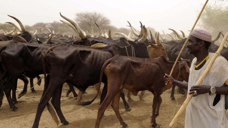 نائیجر میں کسانوں اور چرواہوں کے درمیان جھڑپ میں 18 ہلاک، 20 زخمی