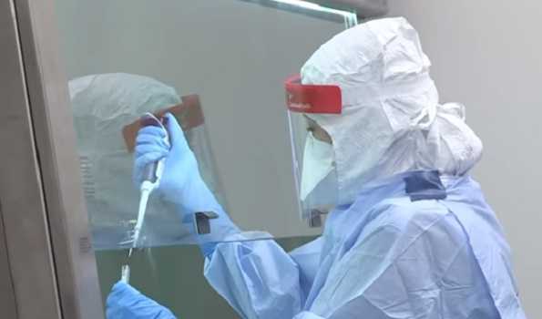 برازیل میں بیک وقت دو قسم کا کورونا وائرس ہونے کا انکشاف